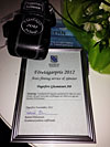 Årets företag 2012 i Degerfors